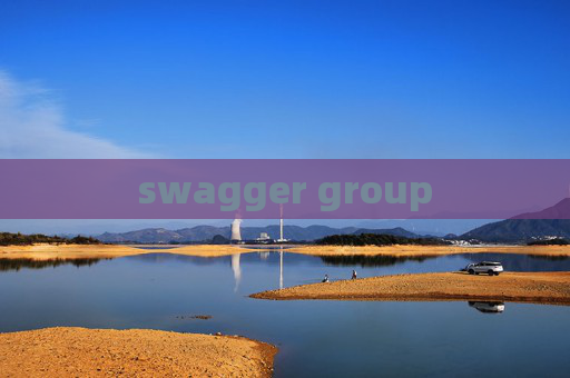 swagger group swagger group